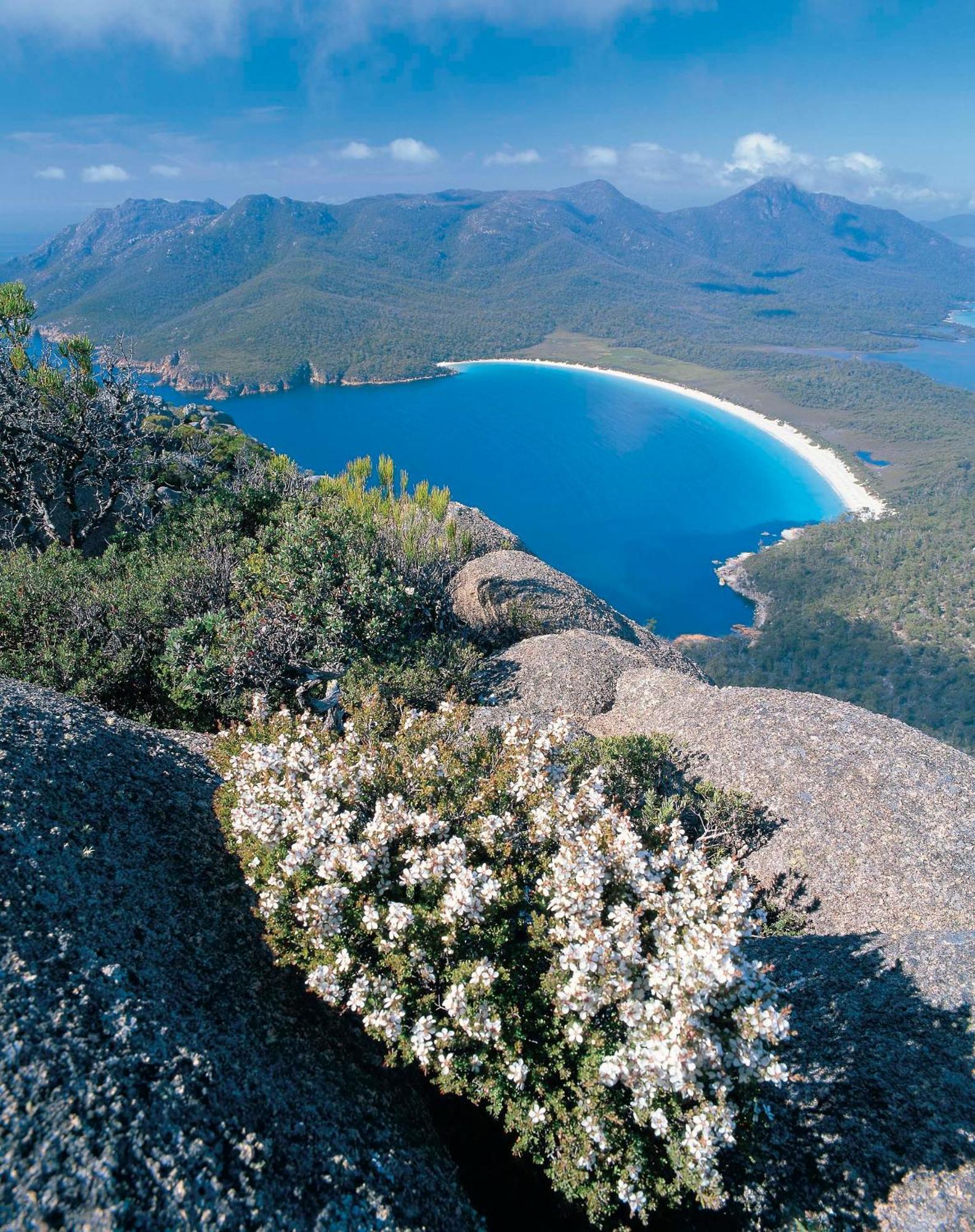 Freycinet Lodge Коулс-Бей Экстерьер фото