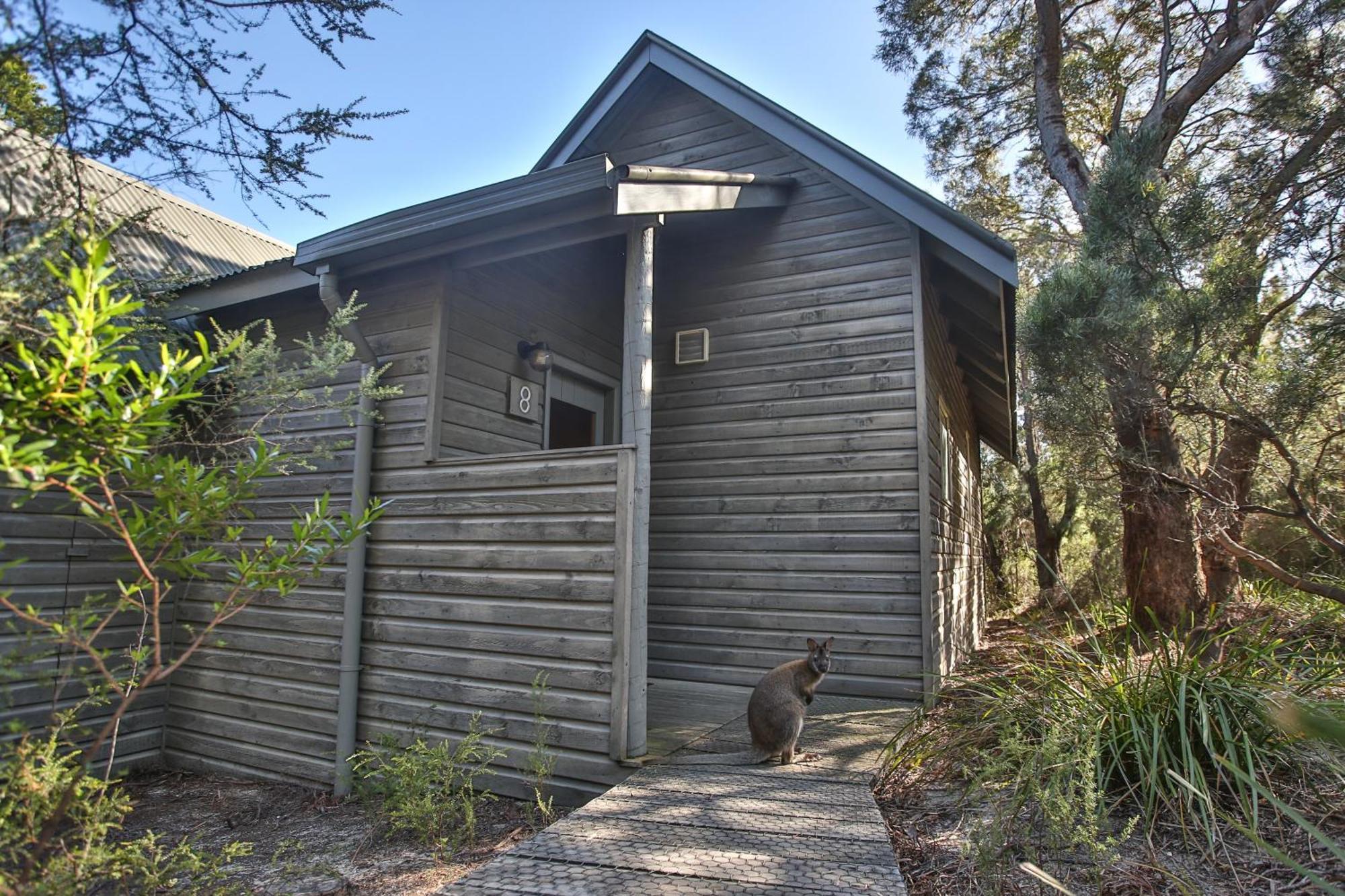 Freycinet Lodge Коулс-Бей Экстерьер фото